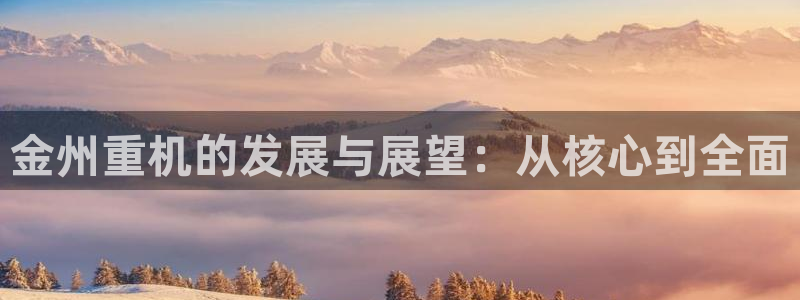 龙八国际是干什么的