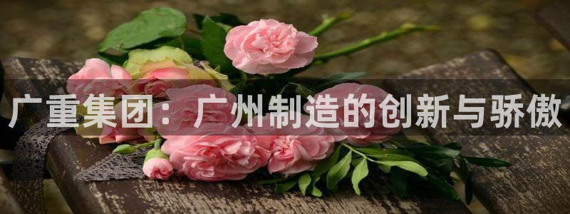 龙八国际2023