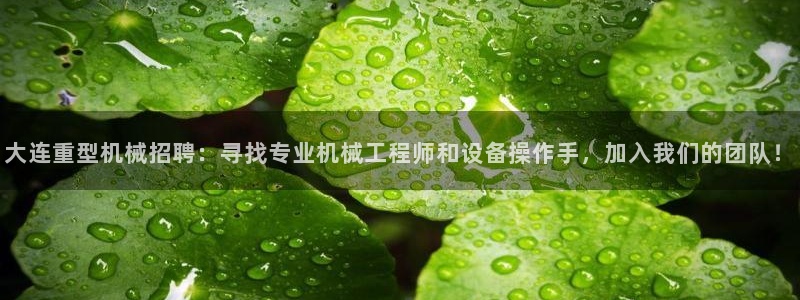龙八国际网易云音乐