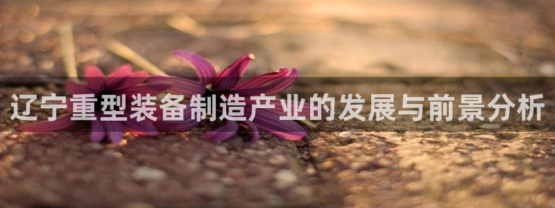 龙八国际Pt老虎机