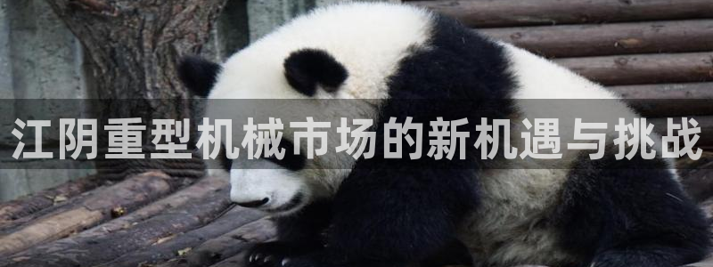 龙八国际app下载苹果