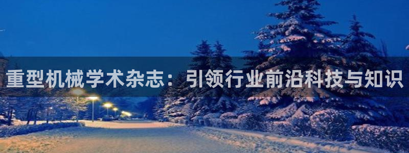 龙八国际服官方