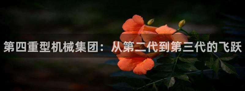 龙八国际合法