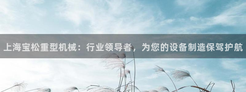 龙八国际网站