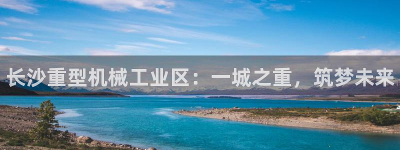 龙八国际下载链接手机端