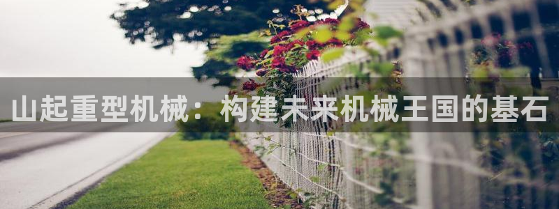 龙八国际 我的