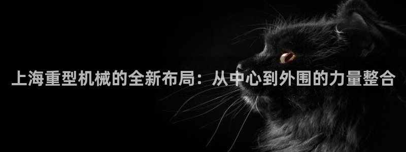 龙八国际在线下载