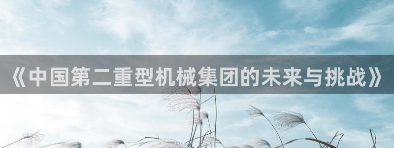 苹果怎么下载龙八国际