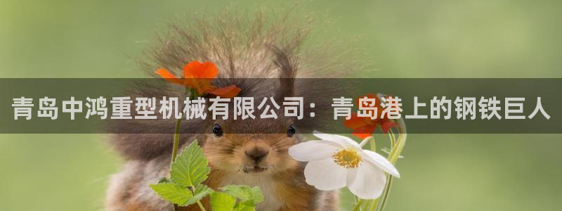 龙八国际官首页