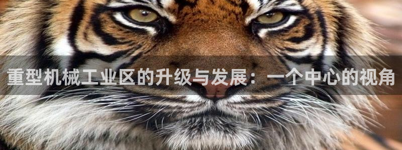 龙八国际手机版