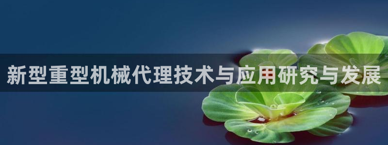 龙八国际下载安装彩