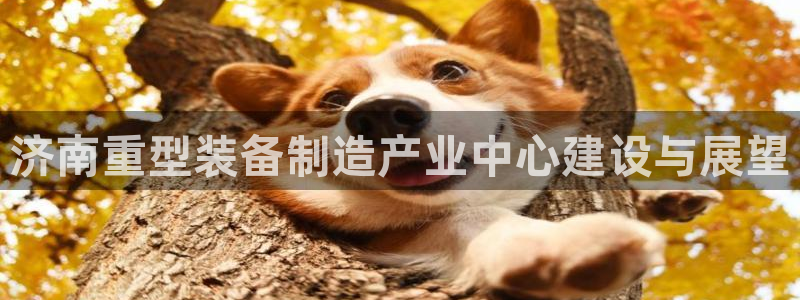 龙八国际娱乐官网