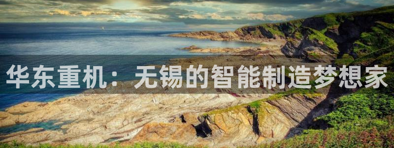 不会玩龙八国际