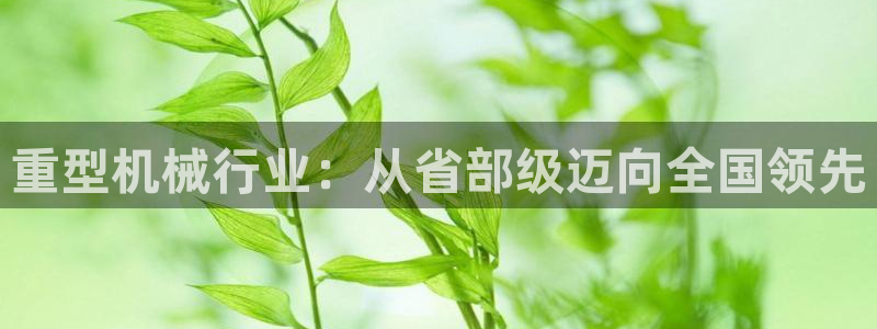 龙八国际app客户端下载不了