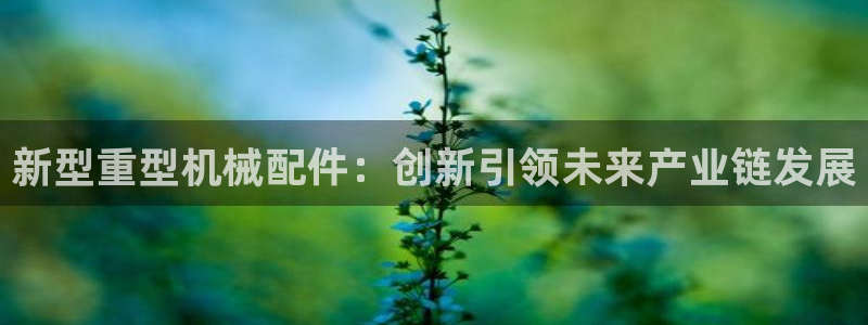 龙八国际城客运站电话