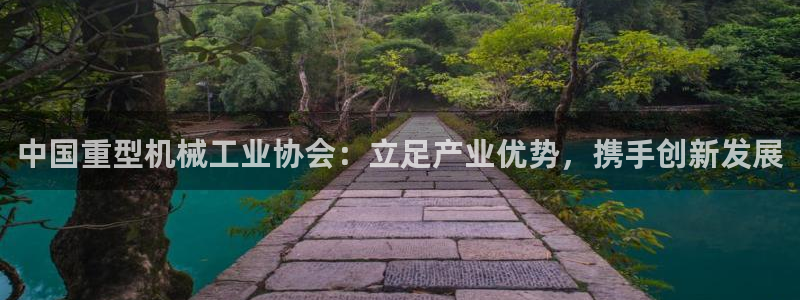 石家庄龙八国际老板是谁