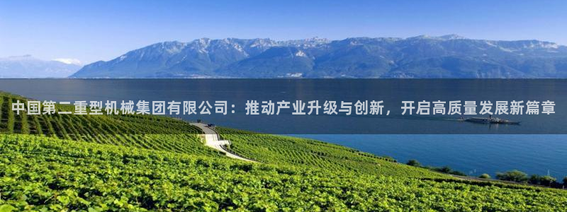 龙八国际刘佳烨