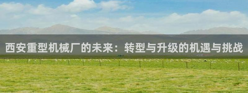 龙八国际苹果版