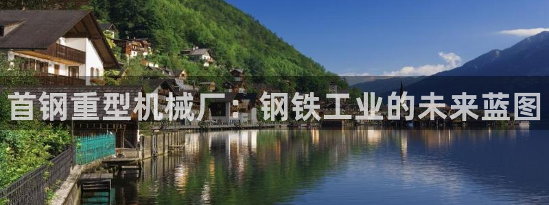 龙八国际zbzszx.com