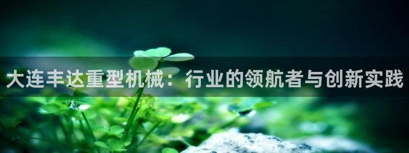 龙八国际app电话号码