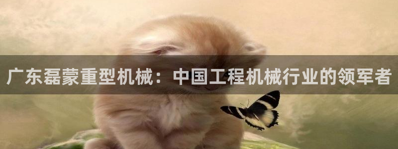 龙八国际娱乐城