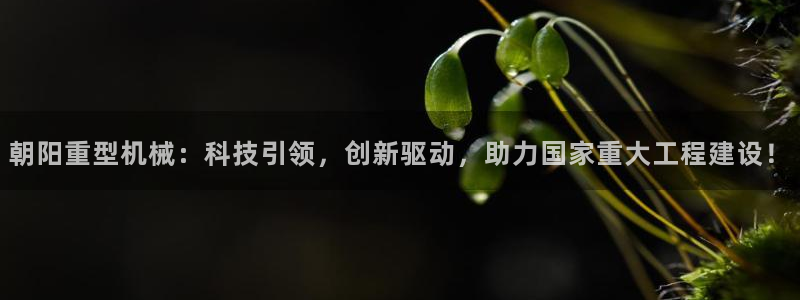 下载龙八国际手机端