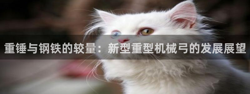 龙八国际黑不黑