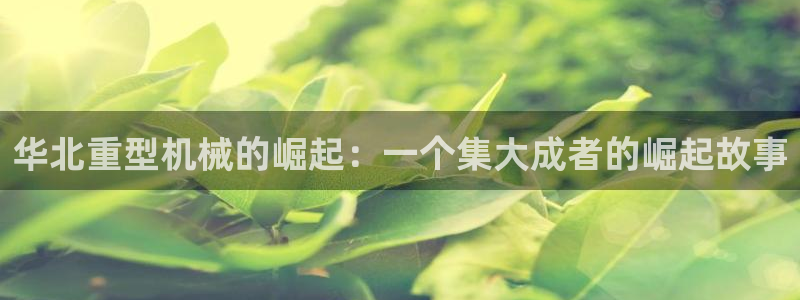 头号玩家龙八国际网址