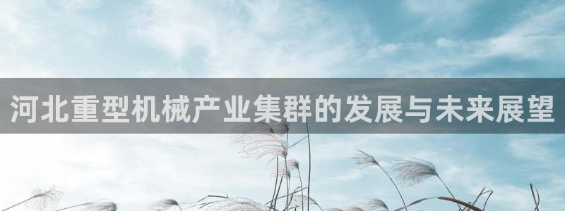 龙八国际是缅甸的吗