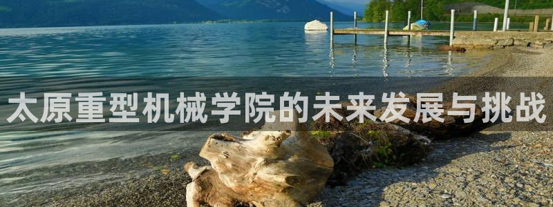 龙八国际娱乐二维码