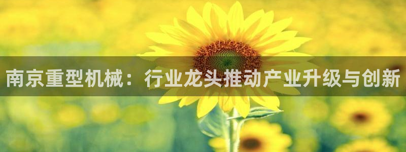 龙八国际服官网下载