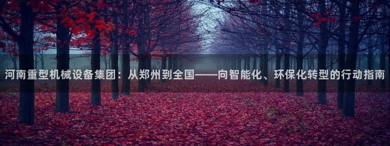 龙八国际手机版