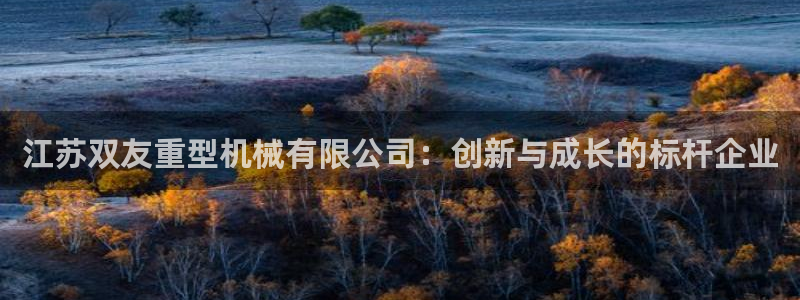 龙八国际城客运站电话