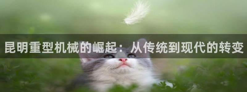 龙八国际游戏下载