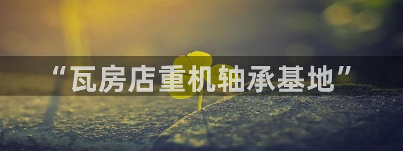 龙八国际娱乐官网手机