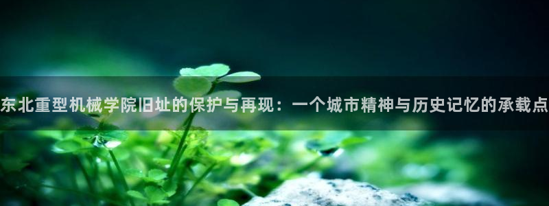 龙八国际不管吗