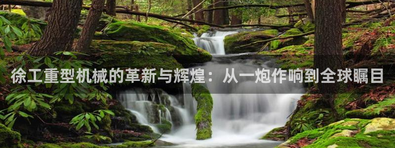 龙八国际服官网入口