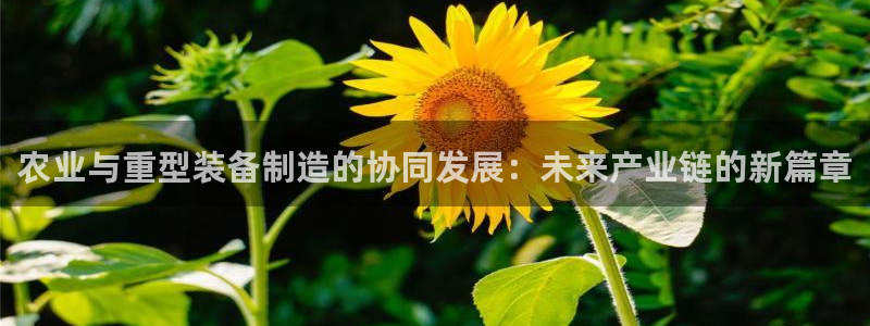 龙八国际app官方下载手机端