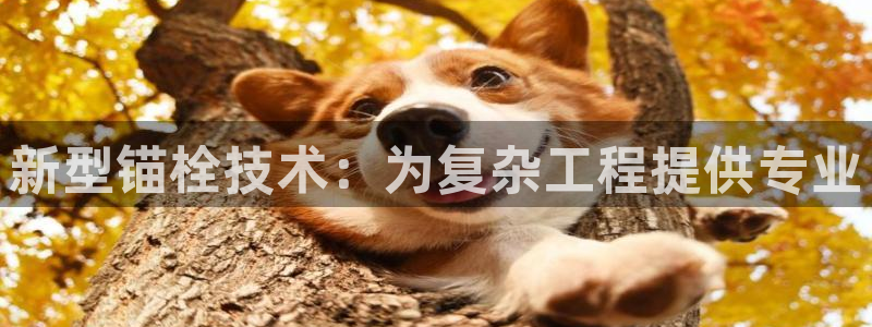 龙八国际游戏下载地址