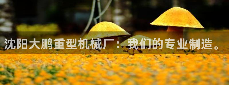 龙八国际娱乐地