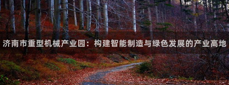 龙八国际不支持苹果手机