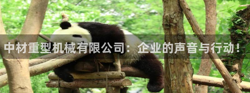 龙八国际娱乐实力如何