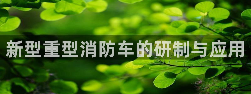 龙八国际不可思议的气球