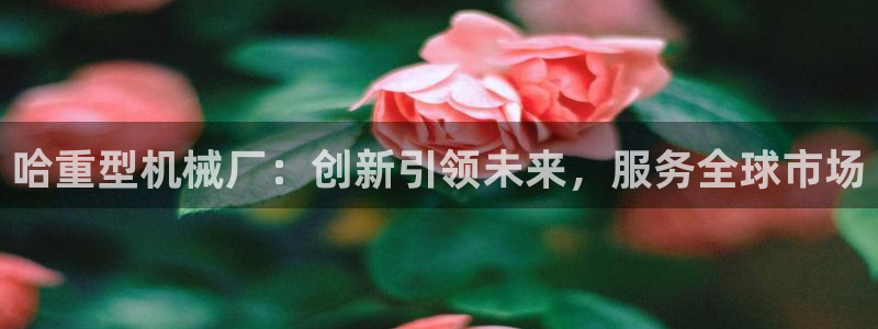 下载龙八国际手机版手游