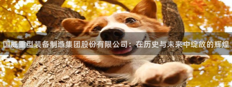 龙八国际唯一官网