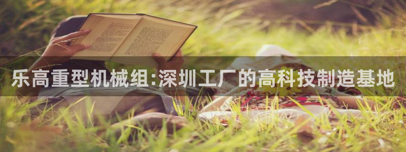 龙八国际下载安装