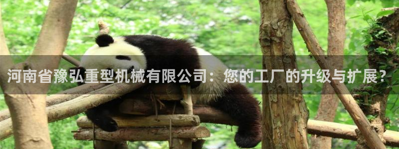 龙八国际APP官方版