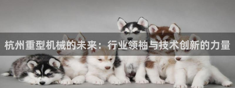 龙八国际 我的