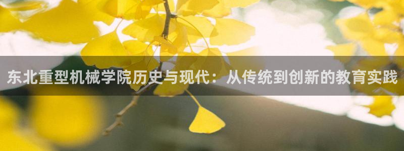 龙八国际手机版下载安装