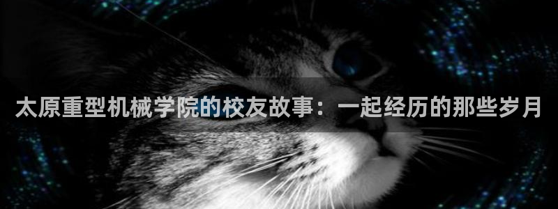 龙八国际娱乐充值